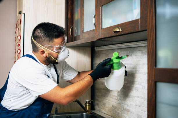 Best Rat Extermination Near Me  in Asbury Park, NJ