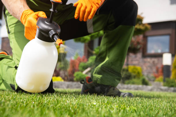 Best Residential Pest Control  in Asbury Park, NJ