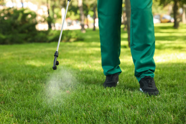 Best Pest Control Near Me  in Asbury Park, NJ