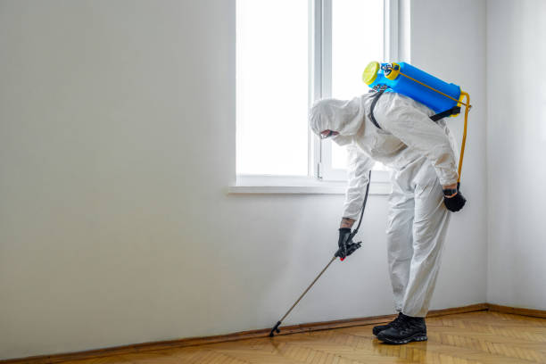 Best Affordable Pest Control Services  in Asbury Park, NJ