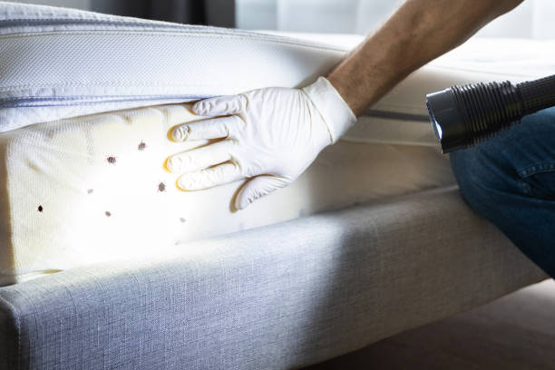 Best Pest Control Near Me in Asbury Park, NJ