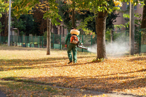 Best Bird Control  in Asbury Park, NJ