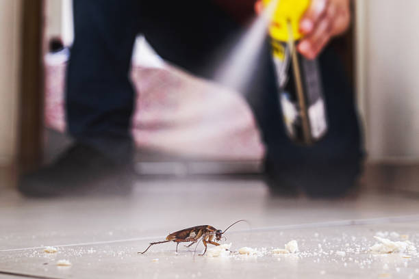 Best Pest Prevention Services  in Asbury Park, NJ
