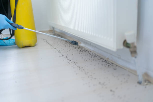 Best Emergency Pest Control  in Asbury Park, NJ