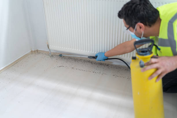 Pest Prevention Services in Asbury Park, NJ