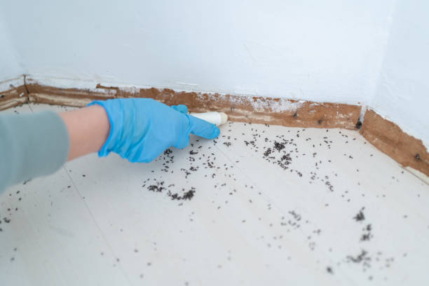 Best Mosquito Control Services  in Asbury Park, NJ