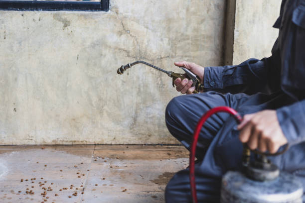 Best Best Pest Control Companies  in Asbury Park, NJ