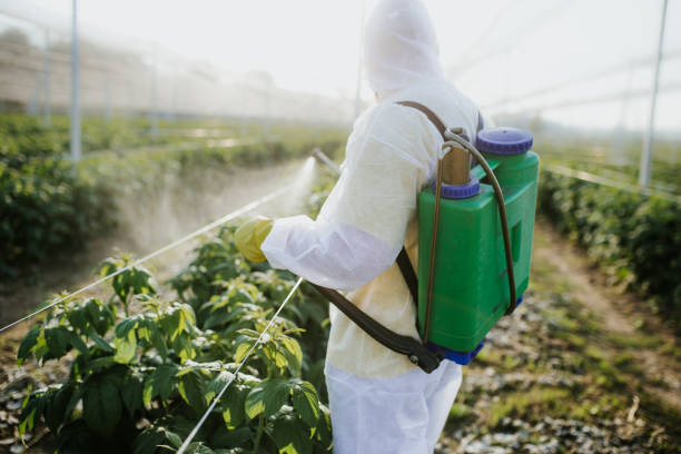 Best Pest Inspection Near Me  in Asbury Park, NJ